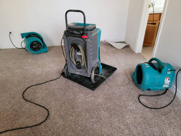 Best Water damage restoration company  in West Wood, UT