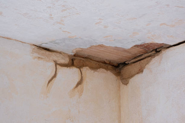 Reliable UT Water damage restoration Solutions