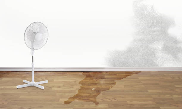 Local water damage restoration in UT