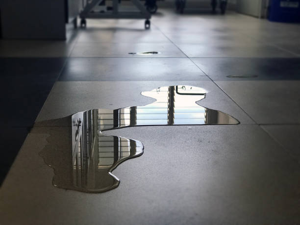 Best 24-hour water damage restoration  in West Wood, UT
