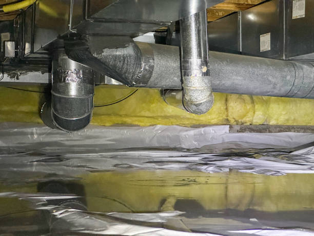 Best Ceiling water damage repair  in West Wood, UT