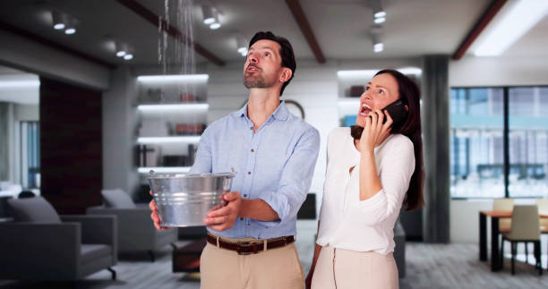 Best Residential water damage restoration  in West Wood, UT